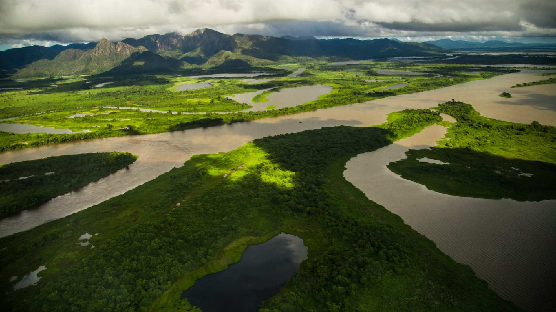 COP15 PANTANAL onu campo grande ms