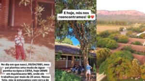 reencontro mulher e árvore UEMS