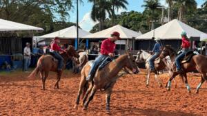Competição 3 tambores