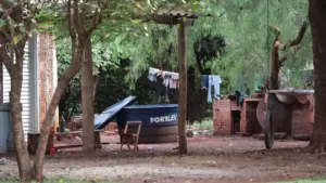 Falta de água e informação expõe indígenas à epidemia de chikungunya em MS