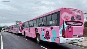 ônibus rosa