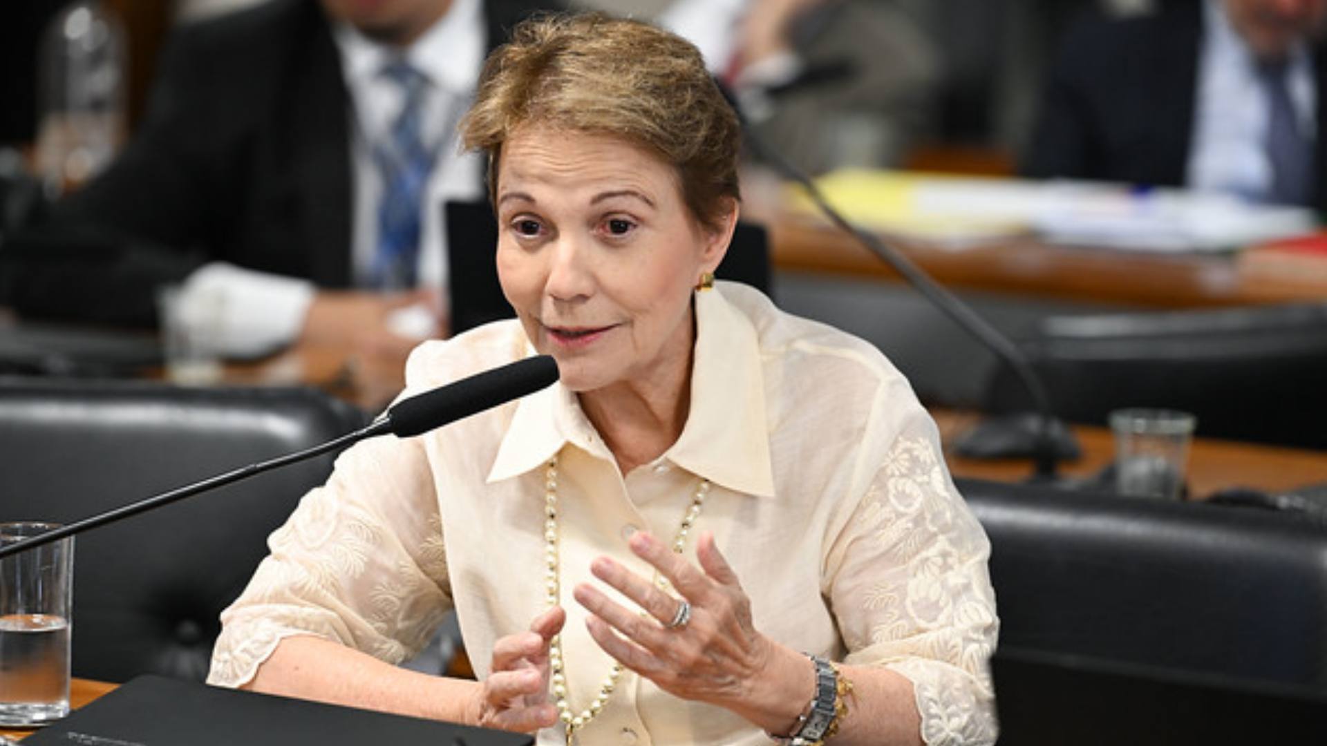 tereza cristina combustíveis senado projeto relatoria relatora