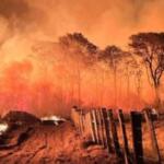 Governo de MS prepara decreto de emergência ambiental diante do risco de ‘super’ El Niño