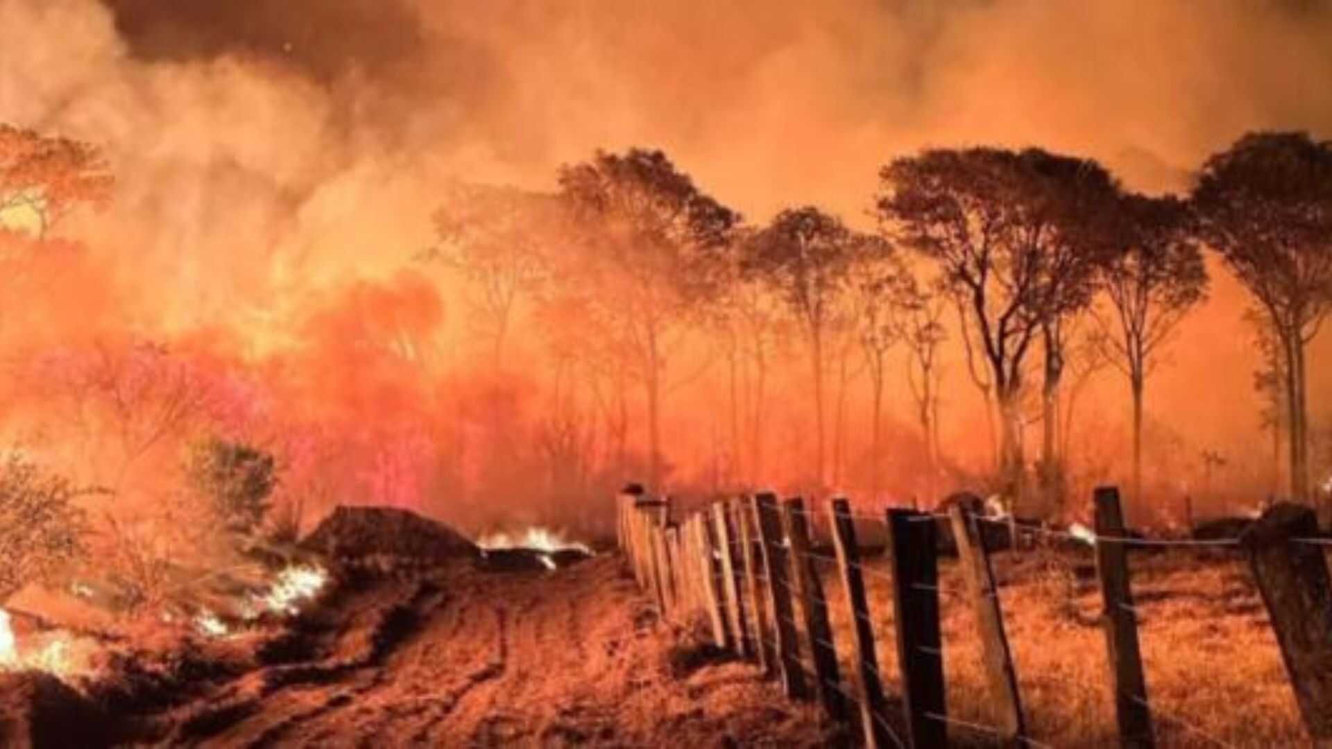 Governo de MS prepara decreto de emergência ambiental diante do risco de ‘super’ El Niño