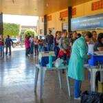 Vacinação contra chikungunya