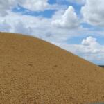 Safra de soja em Mato Grosso do Sul deve ser totalmente colhida em até dez dias