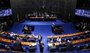 senado senadores