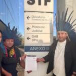 STF indígenas
