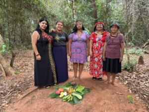 Mulheres indígenas