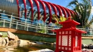 imigração japonesa em campo grande
