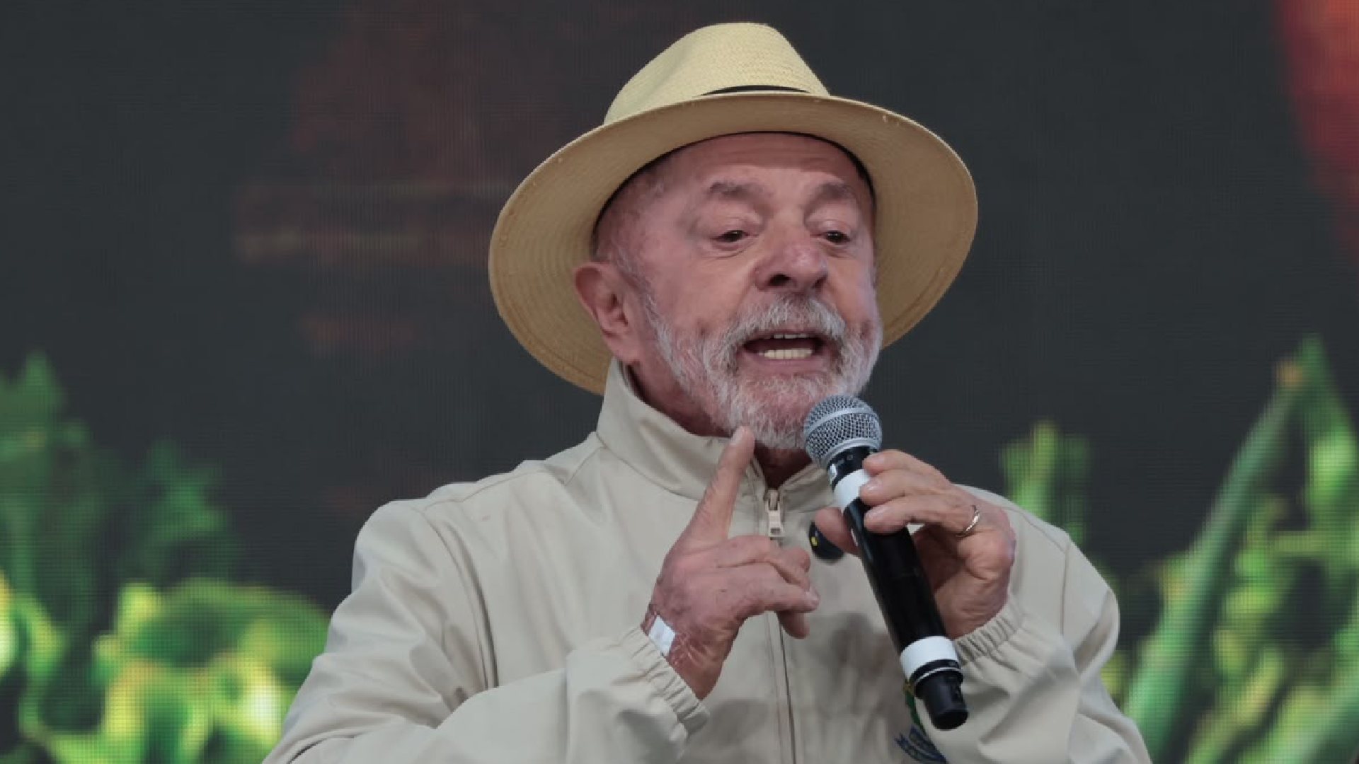 lula presidente luiz feminicídios MS