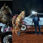 Ana Castela e seus cavalos