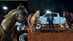 Ana Castela e seus cavalos