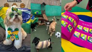 pets