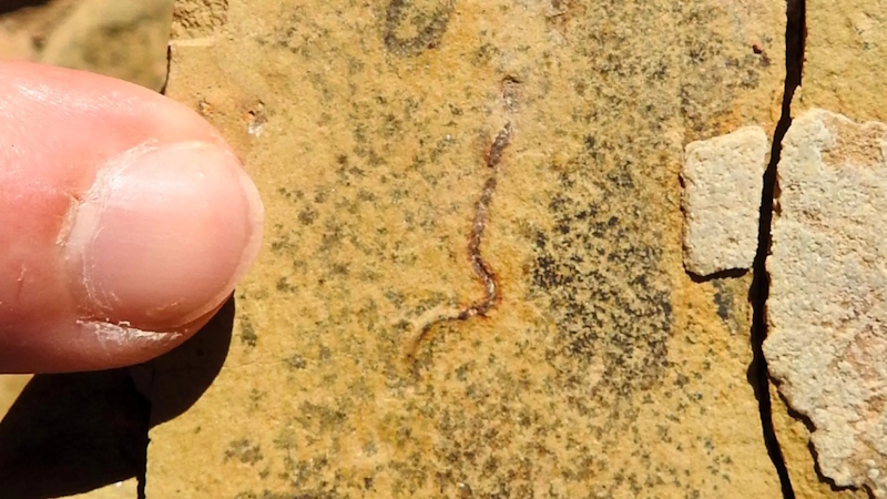 Estudo traz novas conclusões sobre rochas de 544 milhões de anos encontradas em Corumbá Estudo traz novas conclusões sobre rochas de 544 milhões de anos encontradas em Corumbá