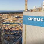 Arauco é investigada em MS após dossiê revelar danos ambientais em plantação