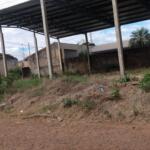 Moradora reclama de galpão abandonado em Campo Grande: “Jogam até animal morto aqui”