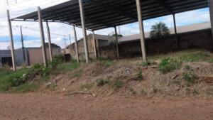 Moradora reclama de galpão abandonado em Campo Grande: “Jogam até animal morto”