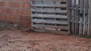 Morto em condomínio foi agredido com pauladas antes de ser esfaqueado no Centro-Oeste