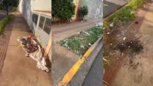 Comerciantes denunciam transtornos com moradores de rua na Ernesto Geisel: ‘Podre e sujo’