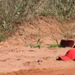 Na contramão do Brasil, mortes violentas aumentam em Mato Grosso do Sul