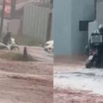 Motociclista fica ilhado em alagamento na João Arinos durante tempestade em Campo Grande