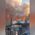 Incêndio florestal faz com que 10 mil pessoas saiam de região turística na França