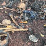 Ossada humana é encontrada em área de mata no bairro Zé Pereira