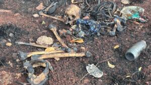 Ossada humana é encontrada em área de mata no bairro Zé Pereira