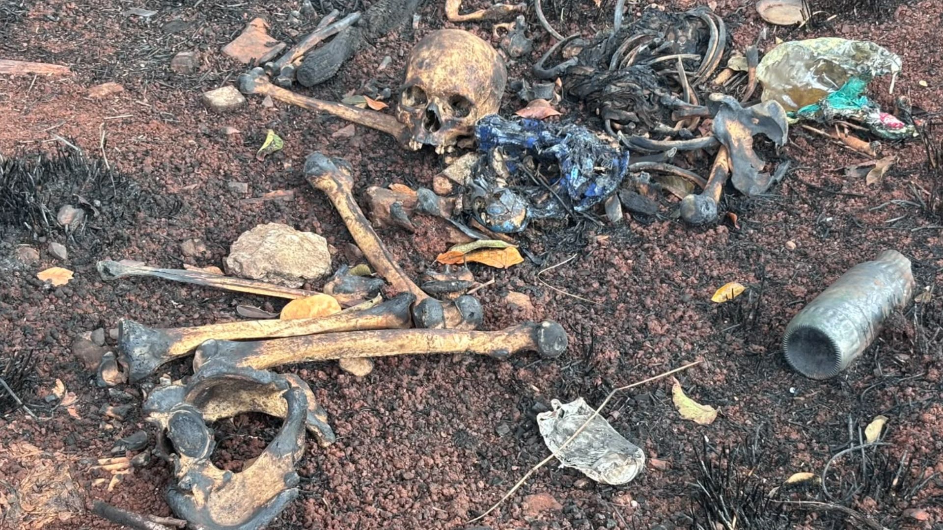 Ossada humana é encontrada em área de mata no bairro Zé Pereira