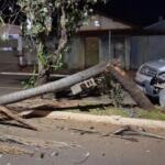 Motorista perde controle da direção e derruba coqueiro na Avenida Mato Grosso em Bataguassu