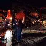 VÍDEO: árvore cai sobre fiação, derruba poste e família acaba presa sob galhos no Zé Pereira