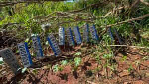 Perdeu a placa do carro? Veja as 11 encontradas após temporal em Campo Grande