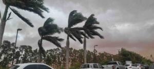 MS está sob alerta para ventos intensos; confira como evitar acidentes