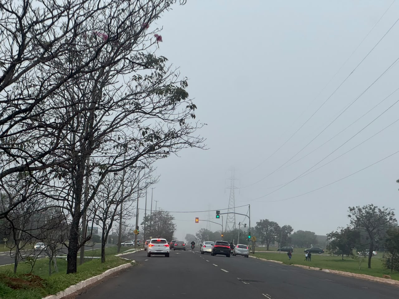 Névoa, neblina ou cerração? Entenda o fenômeno que reduz a visibilidade no frio
