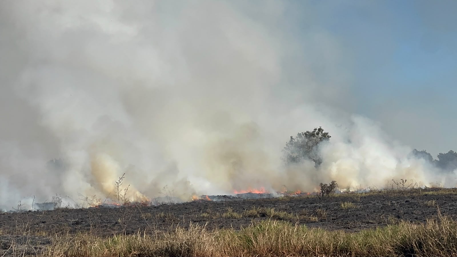 Perigo de vendavais, bolha de calor e secura de deserto alertam para risco de incêndios em MS