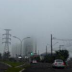 Cidades amanhecem com nevoeiro após chuva de 76 mm em Mato Grosso do Sul