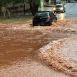 Vídeos mostram força da chuva e queda de árvores provocados pelo vento em Campo Grande