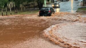 Vídeos mostram força da chuva e quedas de árvore provocadas pelo vento em Campo Grande