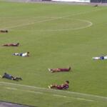Enxame de abelhas invade estádio e faz jogo de futebol ser interrompido