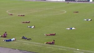 Enxame de abelhas invade estádio e faz jogo de futebol ser interrompido