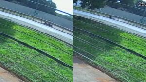 VÍDEO mostra queda de motociclista que morreu na Avenida Duque de Caxias