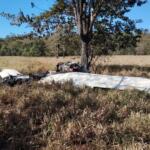 Polícia procura por piloto de avião que transportava 300 kg de cocaína em Goiás