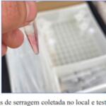 PF não encontrou cocaína em 230 toneladas de madeira apreendidas em Corumbá, diz laudo