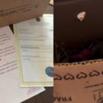 fas mandam coelho para ana castela