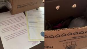 fas mandam coelho para ana castela