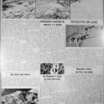 1975 – A maior geada do século no estado