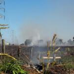 Em dia de baixa umidade do ar, incêndio em vegetação assusta moradores no Lagoa Dourada