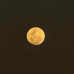 Antes do anoitecer, Lua do Cervo surge 98% iluminada no céu de Campo Grande