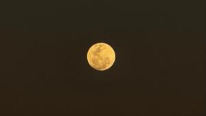 Antes do anoitecer, Lua do Cervo surge 98% iluminada no céu de Campo Grande